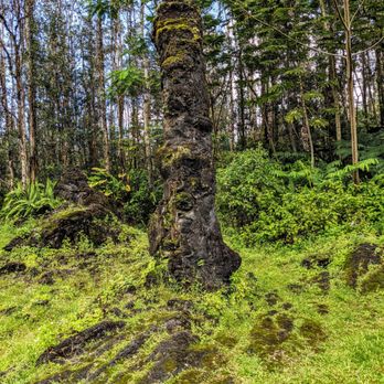 Lava Tree State Park - Parks Near Me Lava Tree State Park - Parks Near Me