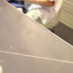River Nails Spa - Bugs
