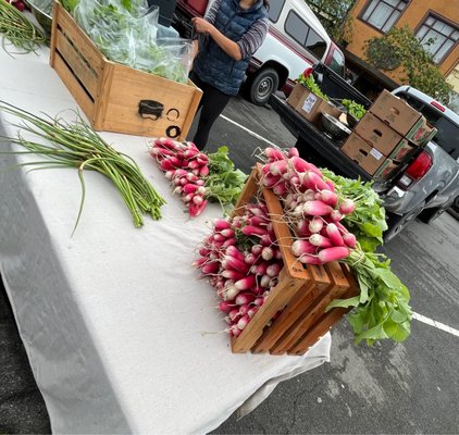 Arcata Plaza Farmers' Market by null