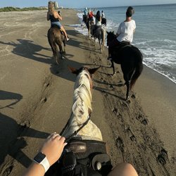 Tours on Horseback