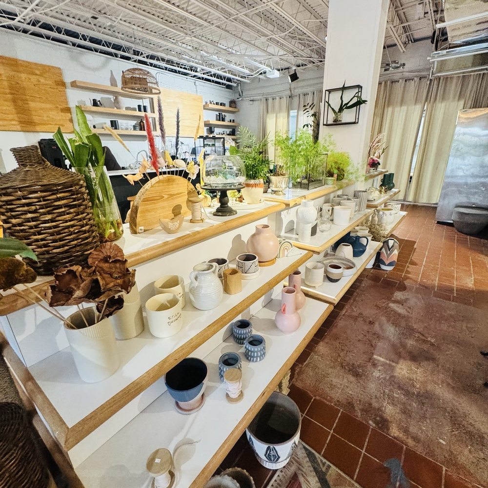 Black Phin - Coffee & Tea Near Me - Winter Park, Florida Black Phin - Coffee & Tea Near Me - Winter Park, Florida