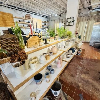 Black Phin - Coffee & Tea Near Me - Winter Park, Florida Black Phin - Coffee & Tea Near Me - Winter Park, Florida