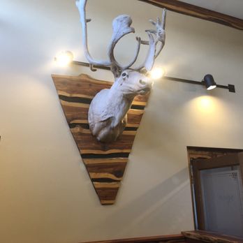 Harry's Stone Grill - Taxidermy!! - Pasta Shops Near Me - Madison, Indiana