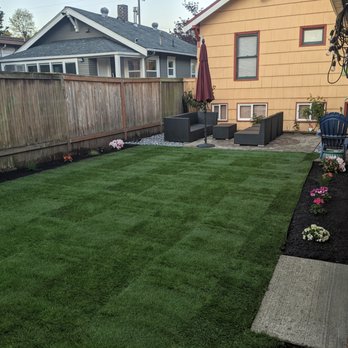 D Green Quality - Landscaping Near Me D Green Quality - Landscaping Near Me