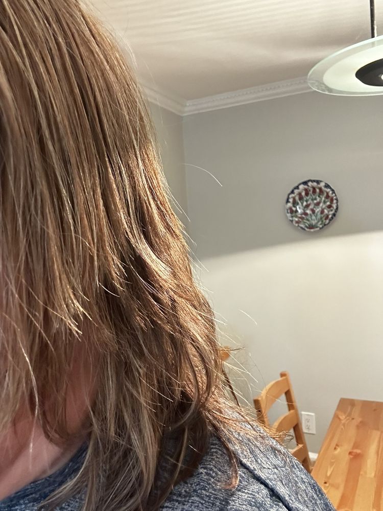 SUPERCUTS Updated September 2024 12 Photos & 46 Reviews 1605