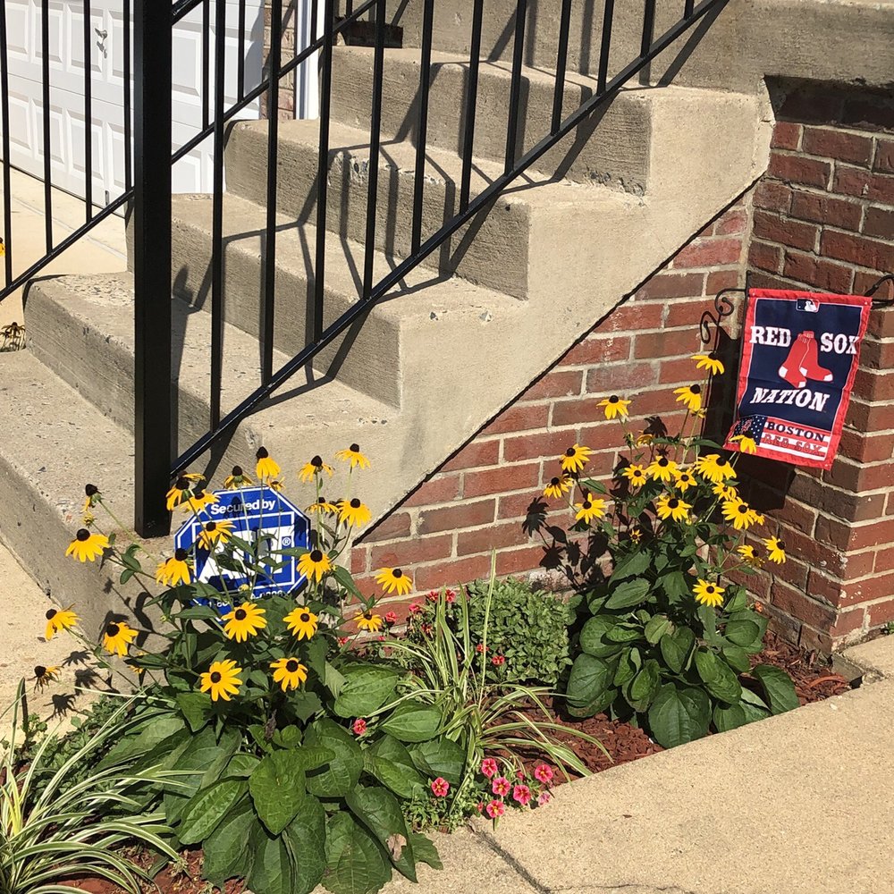 Cassella Design & Build - Landscaping Near Me - Springfield, Virginia Cassella Design & Build - Landscaping Near Me - Springfield, Virginia