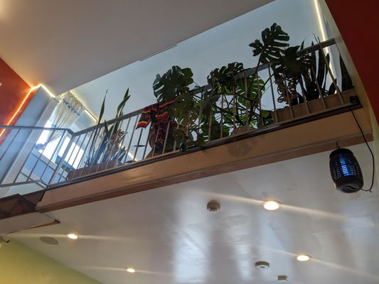 Buna Cafe Philly by null
