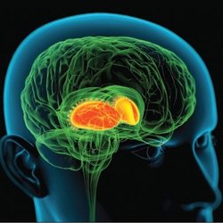 Beth John - I offer nutritional programs for brain health, memory, and focus.