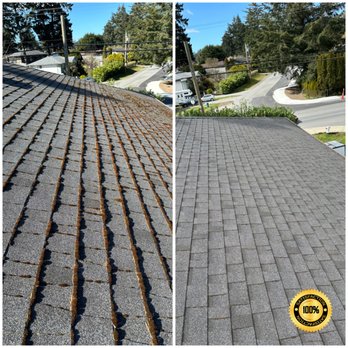 Castle King Windows & Gutters - Roof Cleaning - Window Washing Near Me Castle King Windows & Gutters - Roof Cleaning - Window Washing Near Me