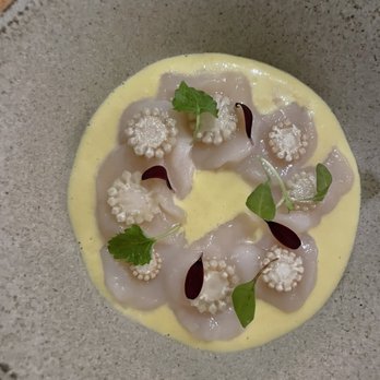 Steep - scallop - Tea Rooms Near Me - Los Angeles, California Steep - scallop - Tea Rooms Near Me - Los Angeles, California