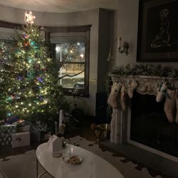 City Tree Delivery