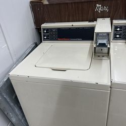 Teddy Bear Wash & Dry