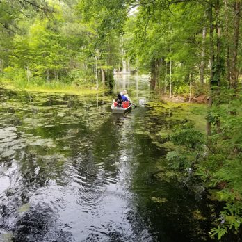 Cypress Gardens - Parks Near Me - Moncks Corner, South Carolina Cypress Gardens - Parks Near Me - Moncks Corner, South Carolina