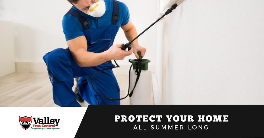 VALLEY PEST CONTROL Updated October 2024 18 Photos 4725 Gray Wolf