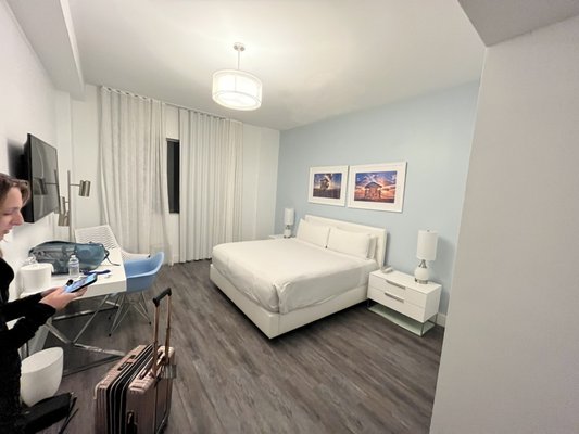 President Hotel South Beach by null