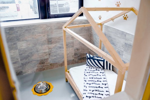 DOGGIEVILLE MTL by null