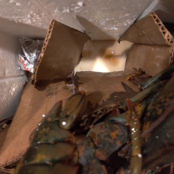Get Maine Lobster - All the spoiled juices on the bottom of the cooler - Seafood Markets Near Me - Portland, Maine