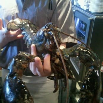 Smack Shack - A 4+ pound crustacean whose been luxuriating in the cool pools @ Smack Shack Minneapolis, with no idea of tomorrow..... - Seafood Near Me - Minneapolis, Minnesota Smack Shack - A 4+ pound crustacean whose been luxuriating in the cool pools @ Smack Shack Minneapolis, with no idea of tomorrow..... - Seafood Near Me - Minneapolis, Minnesota