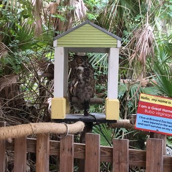 Brevard Zoo - Zoos Near Me - Melbourne, Florida Brevard Zoo - Zoos Near Me - Melbourne, Florida