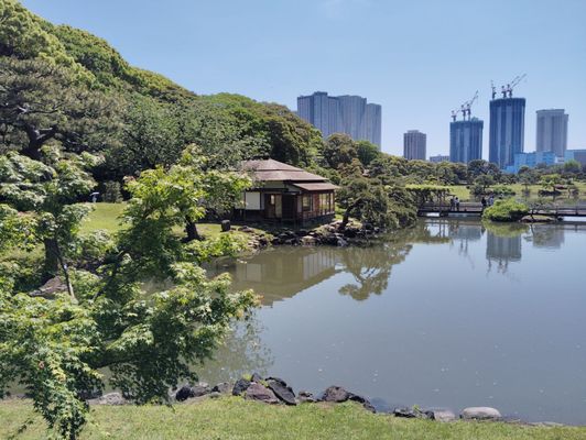 Hamarikyu Gardens by null