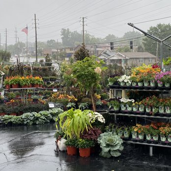 Garden Heights Nursery - Great fall selection! - Nurseries & Gardening Near Me - Saint Louis, Missouri Garden Heights Nursery - Great fall selection! - Nurseries & Gardening Near Me - Saint Louis, Missouri