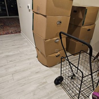 Bellhop Moving - Movers Near Me - Tampa, Florida Bellhop Moving - Movers Near Me - Tampa, Florida