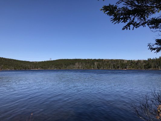 Memorial University Botanical Garden by null