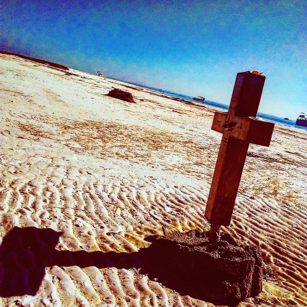 SALT SHAKER CHARTERS Updated July 2024 27 Photos New Port Richey