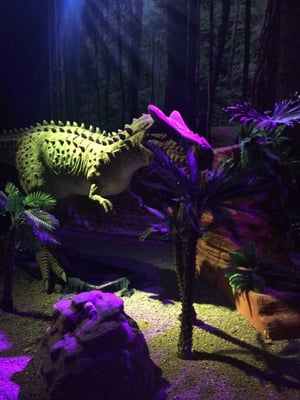 PGE Narodowy by null