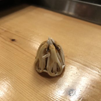 Izumi - Sea urchin mouth parts! Talk to the sushi bar chef for cool facts! - Sushi Bars Near Me - Kirkland, Washington Izumi - Sea urchin mouth parts! Talk to the sushi bar chef for cool facts! - Sushi Bars Near Me - Kirkland, Washington