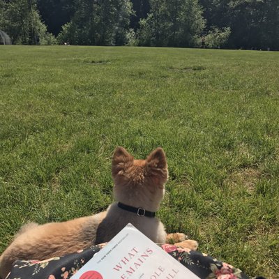 Lake Padden Park by null