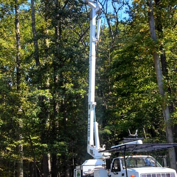 Timberwolf Tree Service - Tree Services Near Me - Hightstown, New Jersey Timberwolf Tree Service - Tree Services Near Me - Hightstown, New Jersey