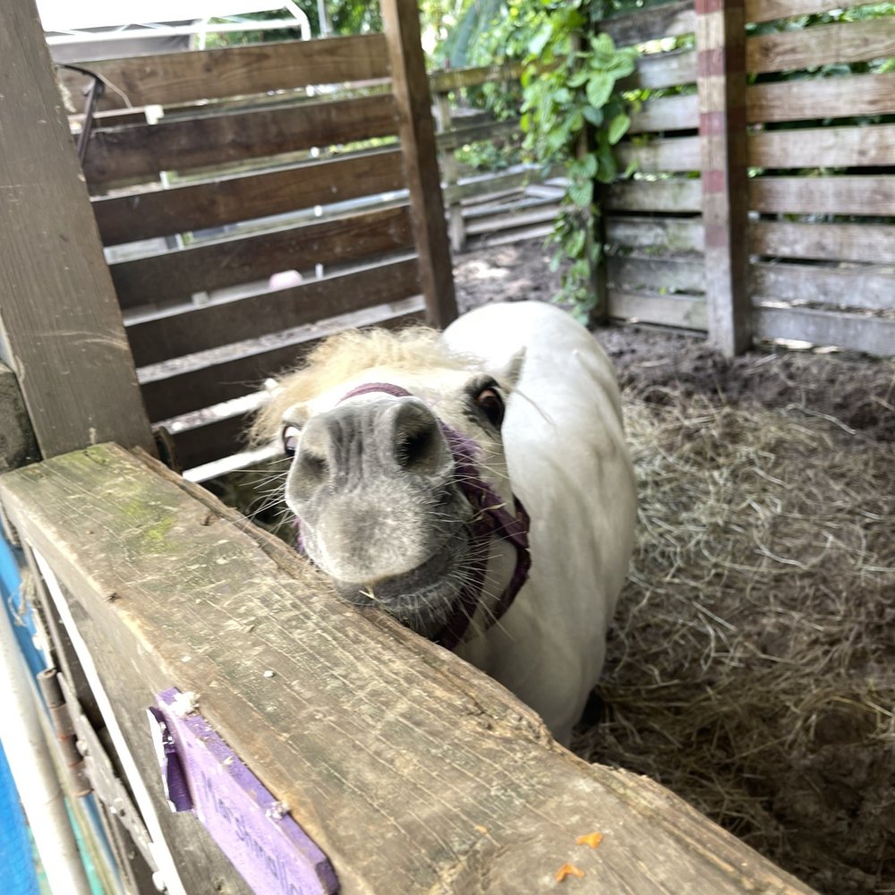 Happi Farm - c - Community Service/Non-Profit Near Me - Davie, Florida Happi Farm - c - Community Service/Non-Profit Near Me - Davie, Florida