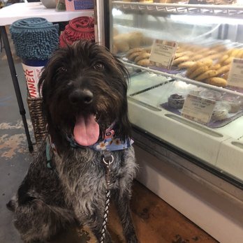 Three Dog Bakery - Pet Stores Near Me - Indianapolis, Indiana