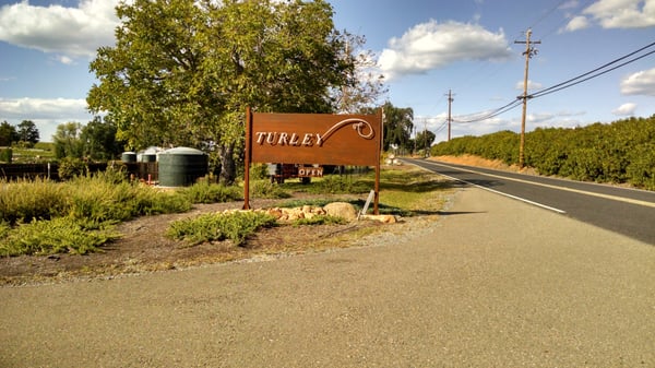 Turley Wine Cellars by null