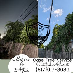 CASE Tree Service - Before and after Vine removal and tree trimming in Euless, TX