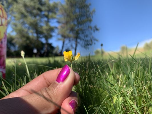 Marin French Cheese Co. by null