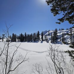 Pacific Crest Trail - Flora Lake