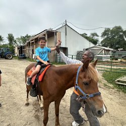Forest View Farms