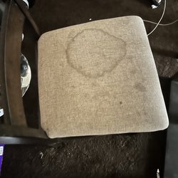 Flower Fresh Carpet & Upholstery Cleaning - Chair