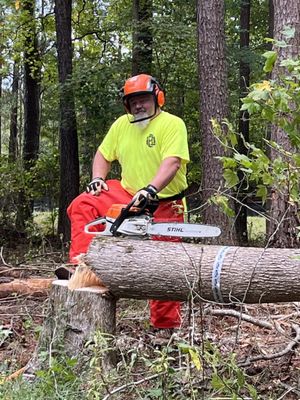 Tree Removal - Call for more info 4708809197 Tree Removal - Call for more info 4708809197