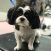 Madagascar Pet Services gift card