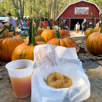 The Pumpkin Hollow - Apple Cider Donut, Apple Cider, Pumpkins - Pumpkin Patches Near Me - Syracuse, New York The Pumpkin Hollow - Apple Cider Donut, Apple Cider, Pumpkins - Pumpkin Patches Near Me - Syracuse, New York