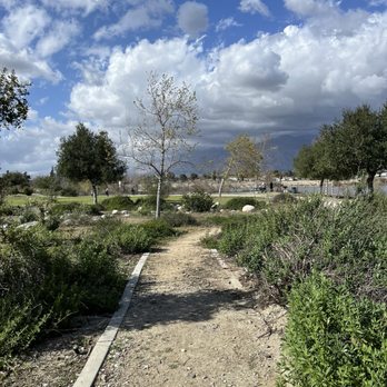 Peck Road Water Conservation Park - Parks Near Me - Arcadia, California Peck Road Water Conservation Park - Parks Near Me - Arcadia, California