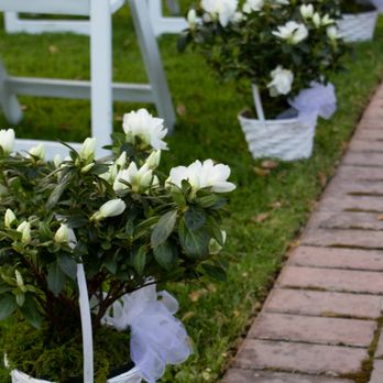 Country Florist - Live azaleas in baskets - Florists Near Me - Paso Robles, California Country Florist - Live azaleas in baskets - Florists Near Me - Paso Robles, California