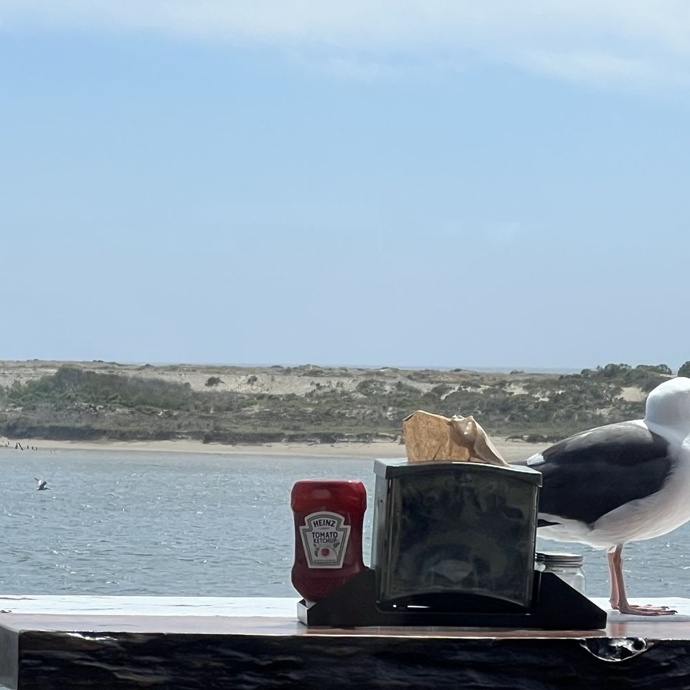 Morro Grill - View from the deck - American Near Me - Morro Bay, California Morro Grill - View from the deck - American Near Me - Morro Bay, California