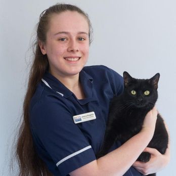 Robin Lewis Vets - Veterinarians Near Me - Tonypandy, RCT