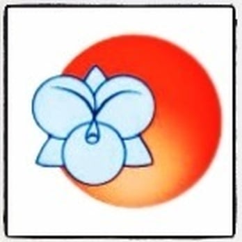 Amazonia Orchids - Nurseries & Gardening Near Me - Homestead, Florida