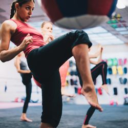 Watchdog Krav Maga