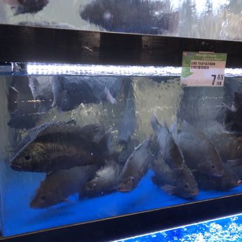 H Mart - Live seafood - International Grocery Near Me - Redmond, Washington